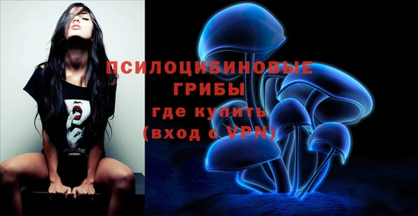хмурый Лиски