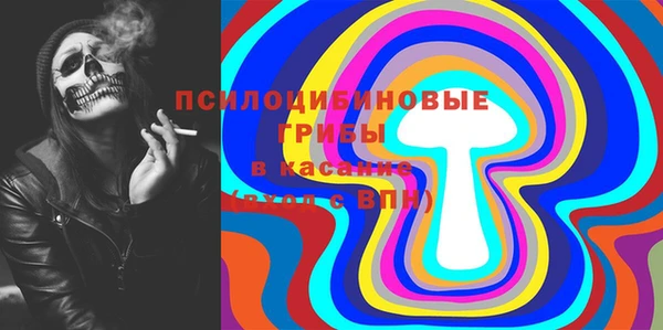 прущие грибы Лихославль