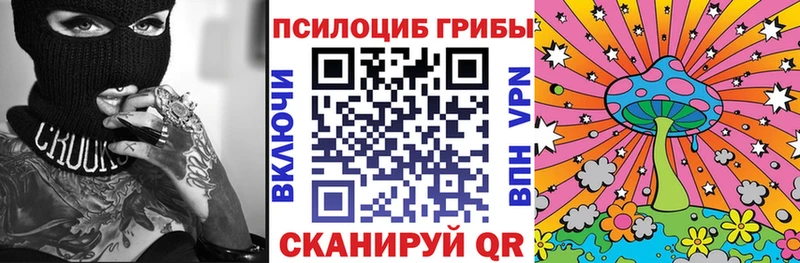 Псилоцибиновые грибы GOLDEN TEACHER где найти Сурск